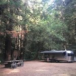 Camp one jackson demonstration state forest
