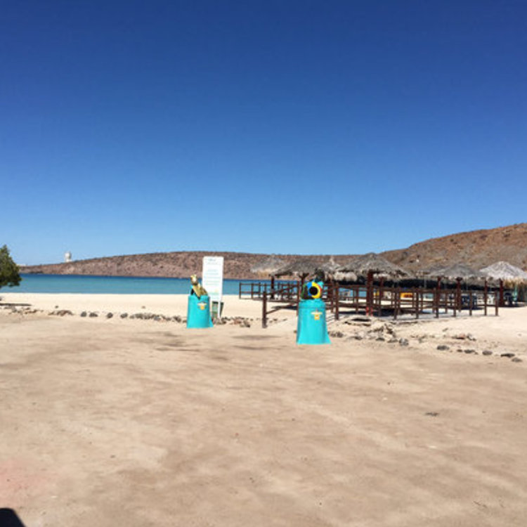 Cafe on the Beach