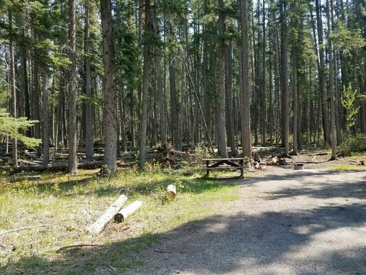 Miette Campground Reviews Updated 2022