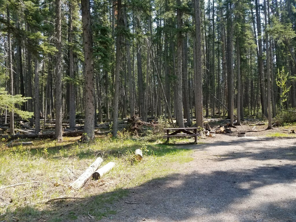Miette Campground