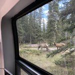Snaring river campground