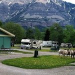 Townsite campground