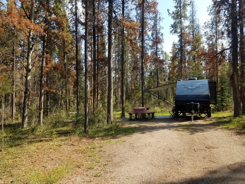 Wapiti Campground