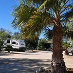 Leapin lizard rv ranch