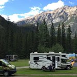 Kicking horse