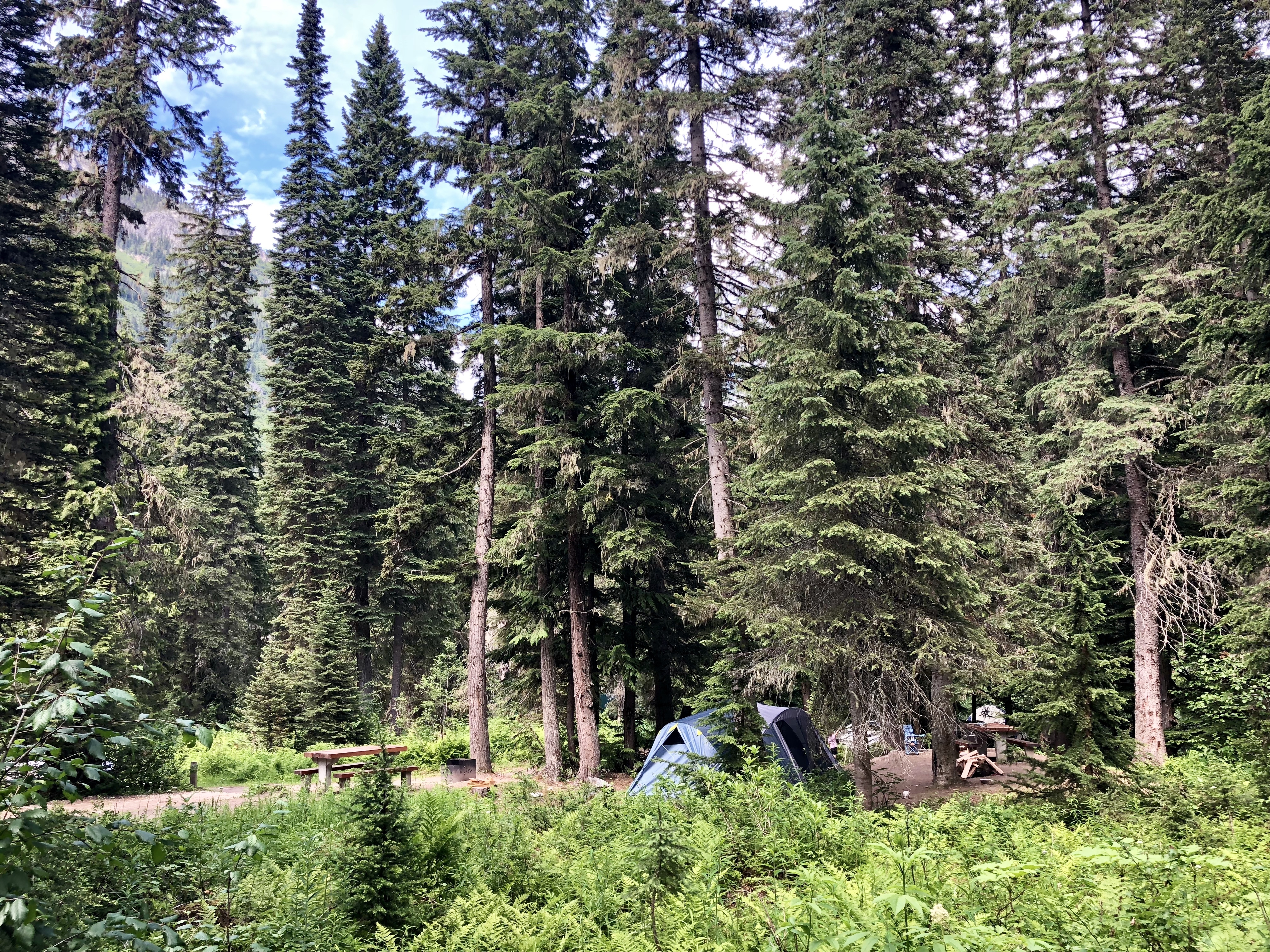 Loop Brook Campground