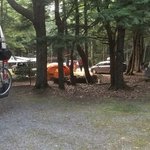 Jeremys bay campground