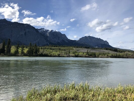 Bow Valley Campground