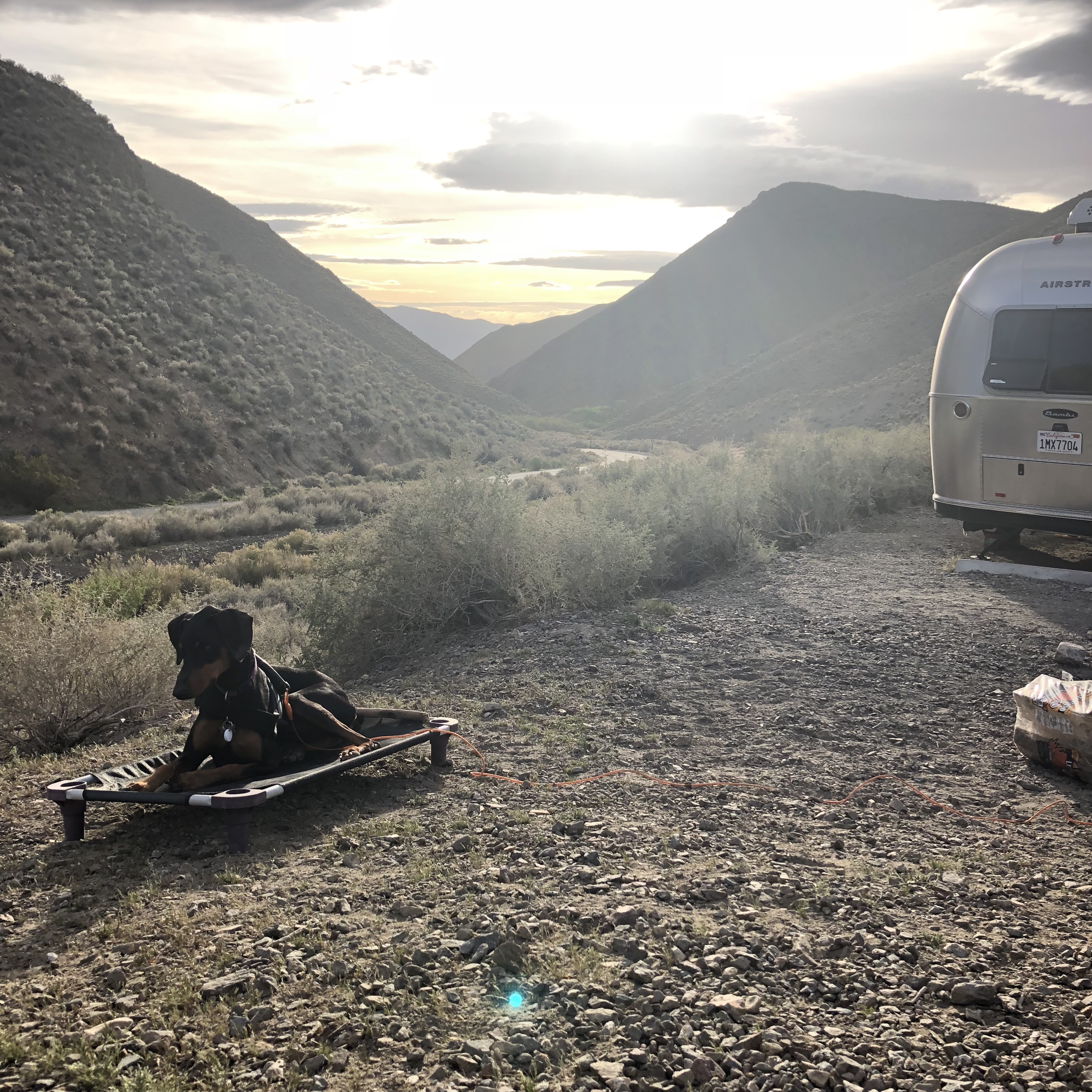 Wildrose Campground