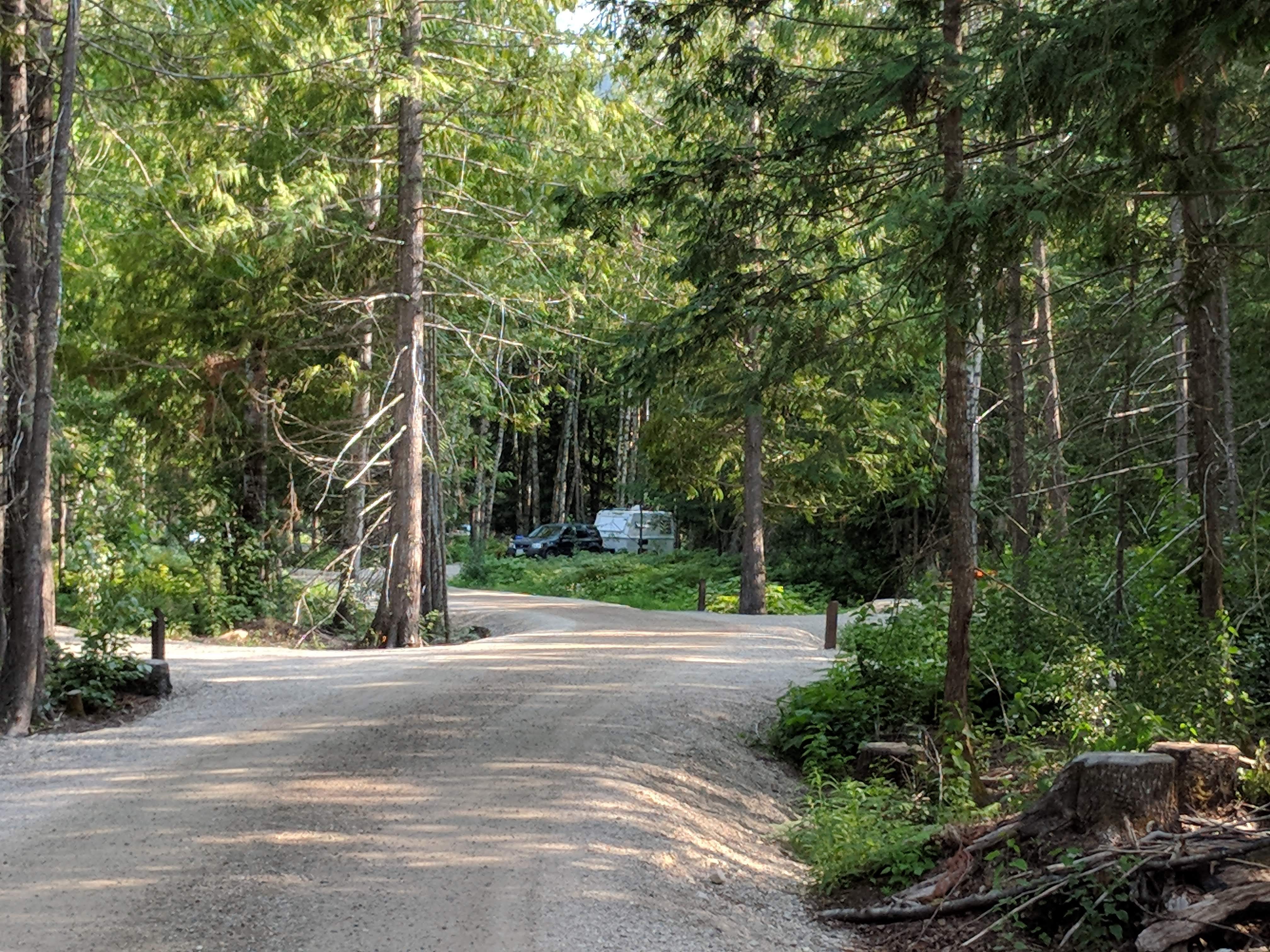 Blanket Creek Provincial Park Campground Reviews updated 2024