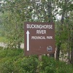 Buckinghorse river wayside