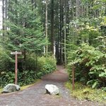 China beach juan de fuca provincial park
