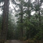 Little qualicum falls provincial park