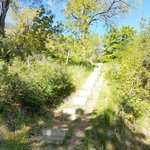 North campground okanagan lake provincial park