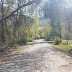 Okanagan falls provincial park