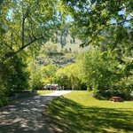 South campground okanagan lake provincial park