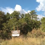 Albert moser campground