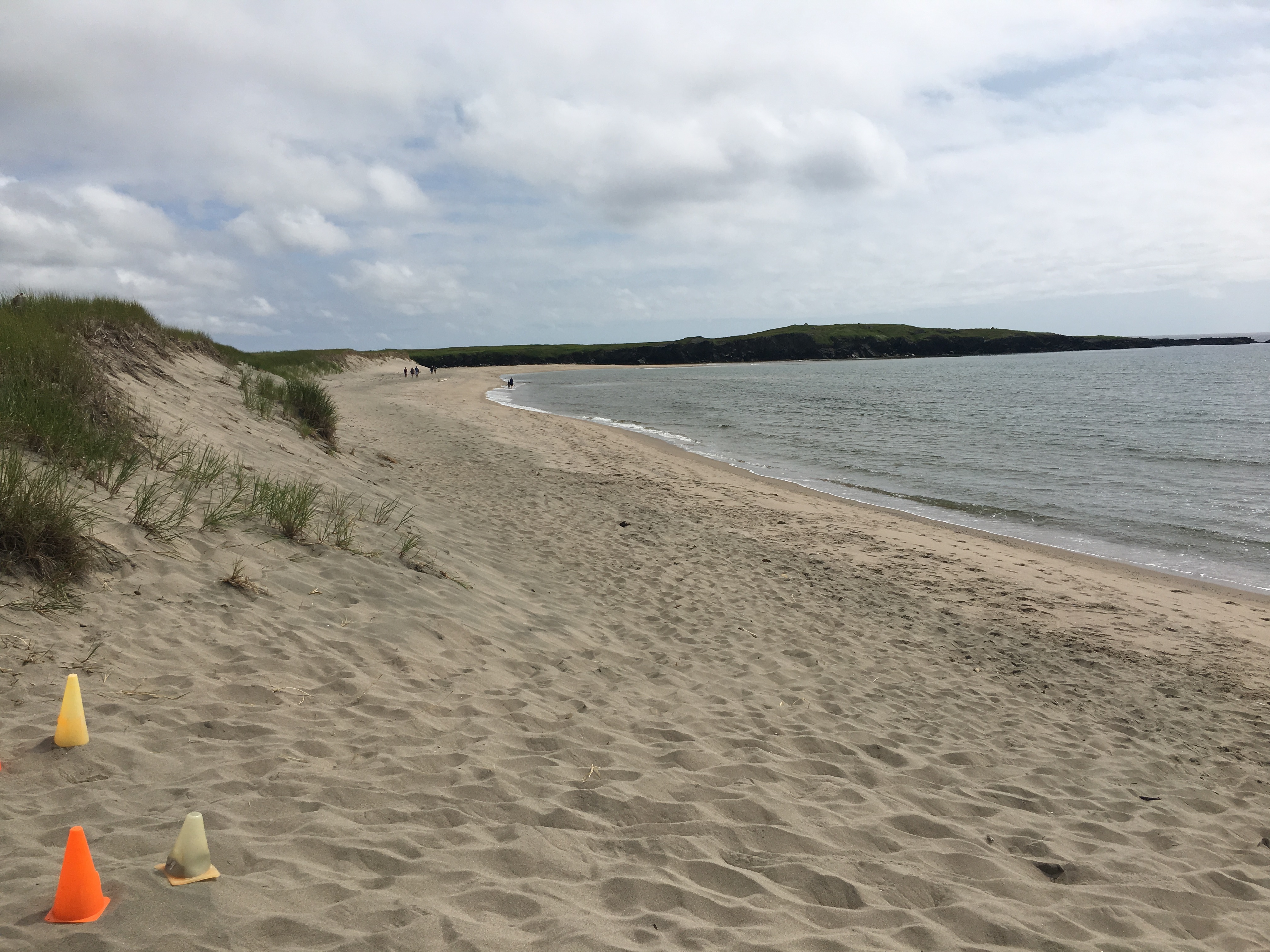 J.T. Cheeseman Provincial Park Campground