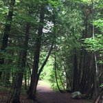 Charleston lake provincial park