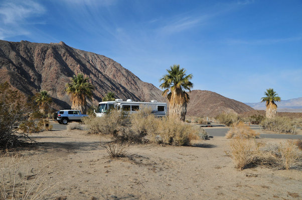 Borrego Palm Canyon Campground