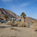 Borrego palm canyon campground