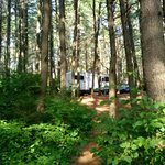 Pog lake campground algonquin provincial park