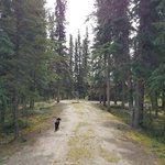 Moose creek government camp