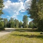 Davie lake south recreation site