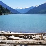 Driftwood bay
