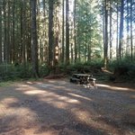 Lizard lake