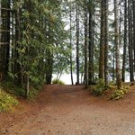 Loon bay