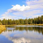 Buffalo campground