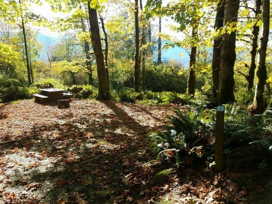 Pine Point Recreation Site