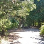 Rogers creek