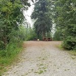 Sawmill point