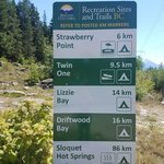 Strawberry point