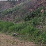 Grand forks municipal campground