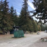 Nakusp hot springs and campground