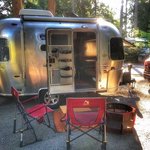 Living forest oceanside campground