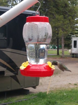 Blue Cedar Campground