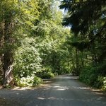 Ferry island campground