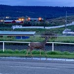 Williams lake stampede campground