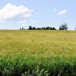Cranberry campground