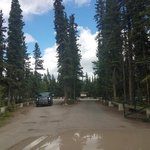 Robert service campground