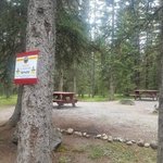 Upper shunda creek campground