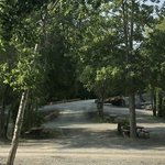 Brookside campsite