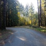 Beaver lake resort