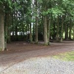 Whispering pines tent and rv park