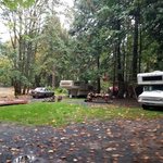 Cedar grove british columbia