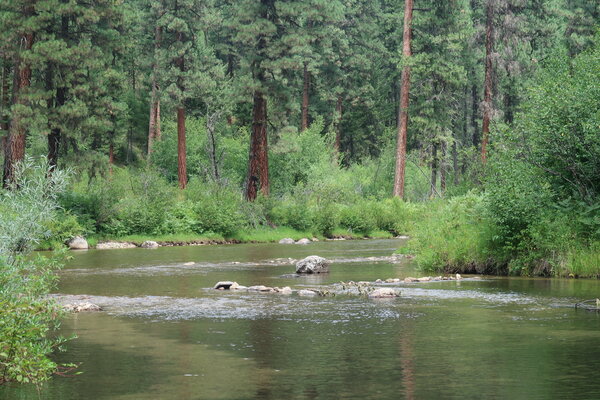 Hardscrabble Campground photo 2